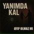 Ayıp Olmaz Mı