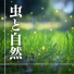 虫の鳴き声