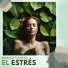 Zona anti estrés