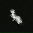 Sideseer