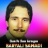 Baryali Samadi