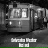 Sylvester Wester