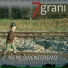 Settegrani