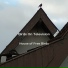 Birds On Television
