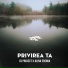 DJ PROJECT, Alina Eremia