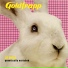 Goldfrapp