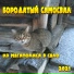 Бородатый Самосвал