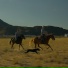 QuraQ