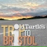 Old Turtles