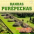 Bandas Purépechas