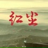 贾一娢