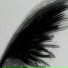 PsychxWxrld
