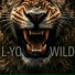 L-YO