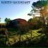 Roots of Ascendant
