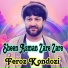 Feroz kondozi