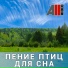 AllVideo