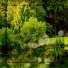 Forest Of Meditation