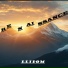 Llidom