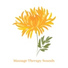 Relaxing Spa Music Zone
