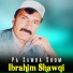 Ibrahim Shawqi