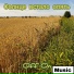 Off On Music