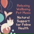Soothing Music for Cats