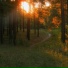 sunfade