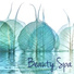 Spa & Spa