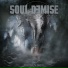 Soul Demise