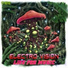 Electro Vision