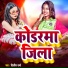 Dilip Verma