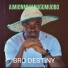 Bro Destiny