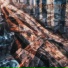 DXXMXND