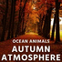 Ocean Animals