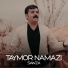 Taymor Namazi