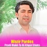 Wazir Pardes
