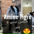 Amine Tigre
