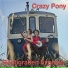 Crazy Pony
