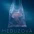 MEDUZOVA