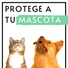 Música Relajante para Perros