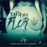 Theus MC, Mp do Alaska, Mc Lauan Sp