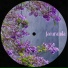 Guy Rickard, morisan