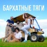 ОПЯТЬ