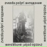 Zvezda Polyn'