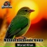 Morad Khan