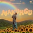 Madabula Rsa feat. Mpho NM