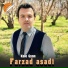 Farzad Asadi