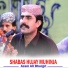 Azam Ali Bhurgri