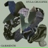 Hyla Crucifer feat. Julia Rueffert