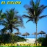Cumbias Tropicales